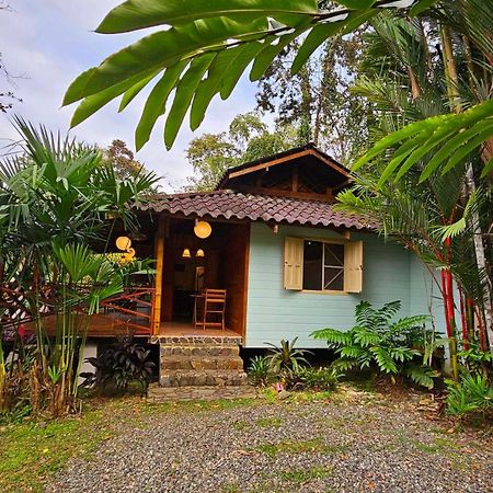 Villa Rameen Puerto Viejo de Talamanca Exteriér fotografie